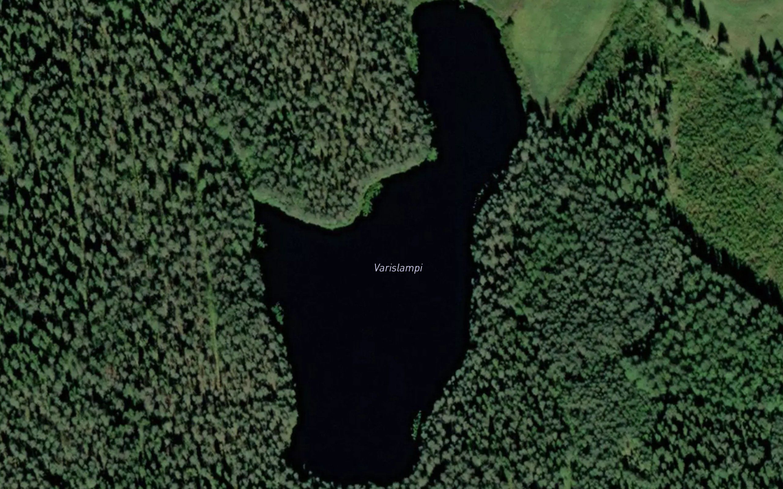 Varislampi