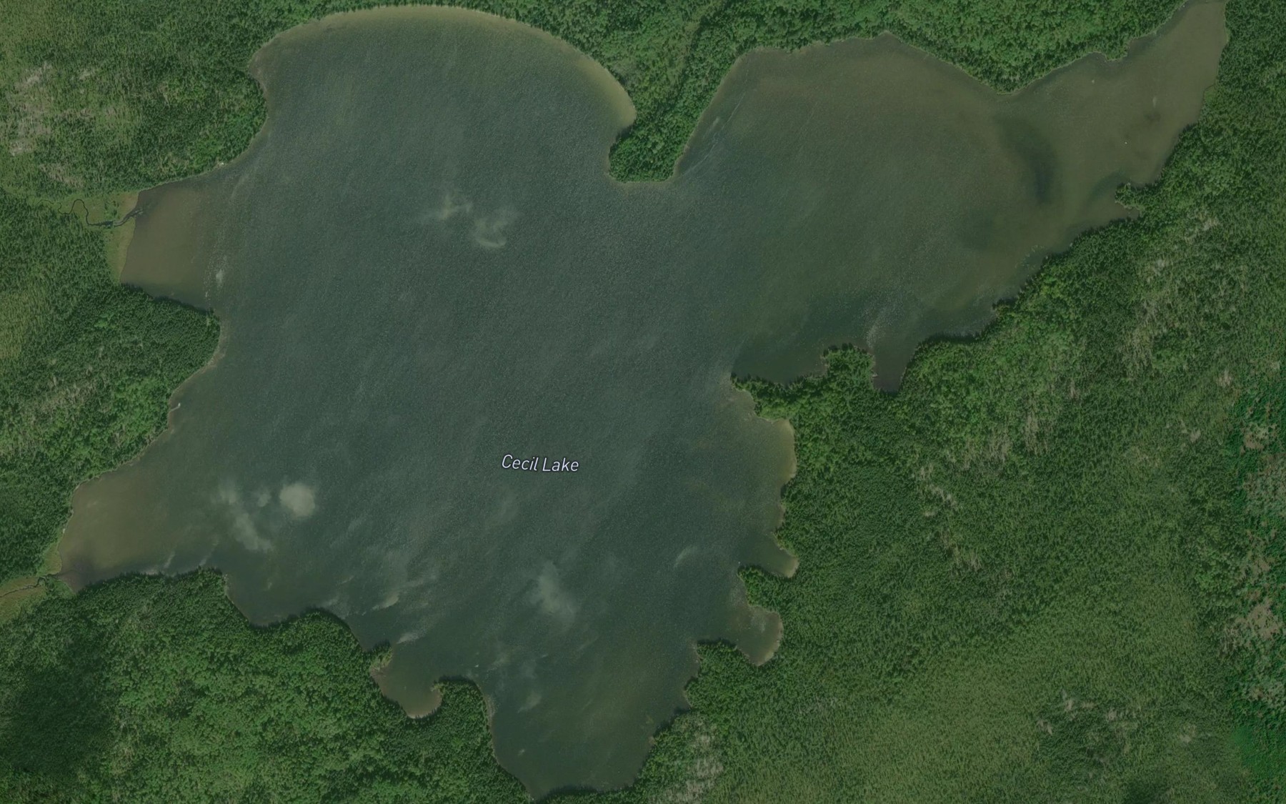 Satellite map of the Cecil Lake
