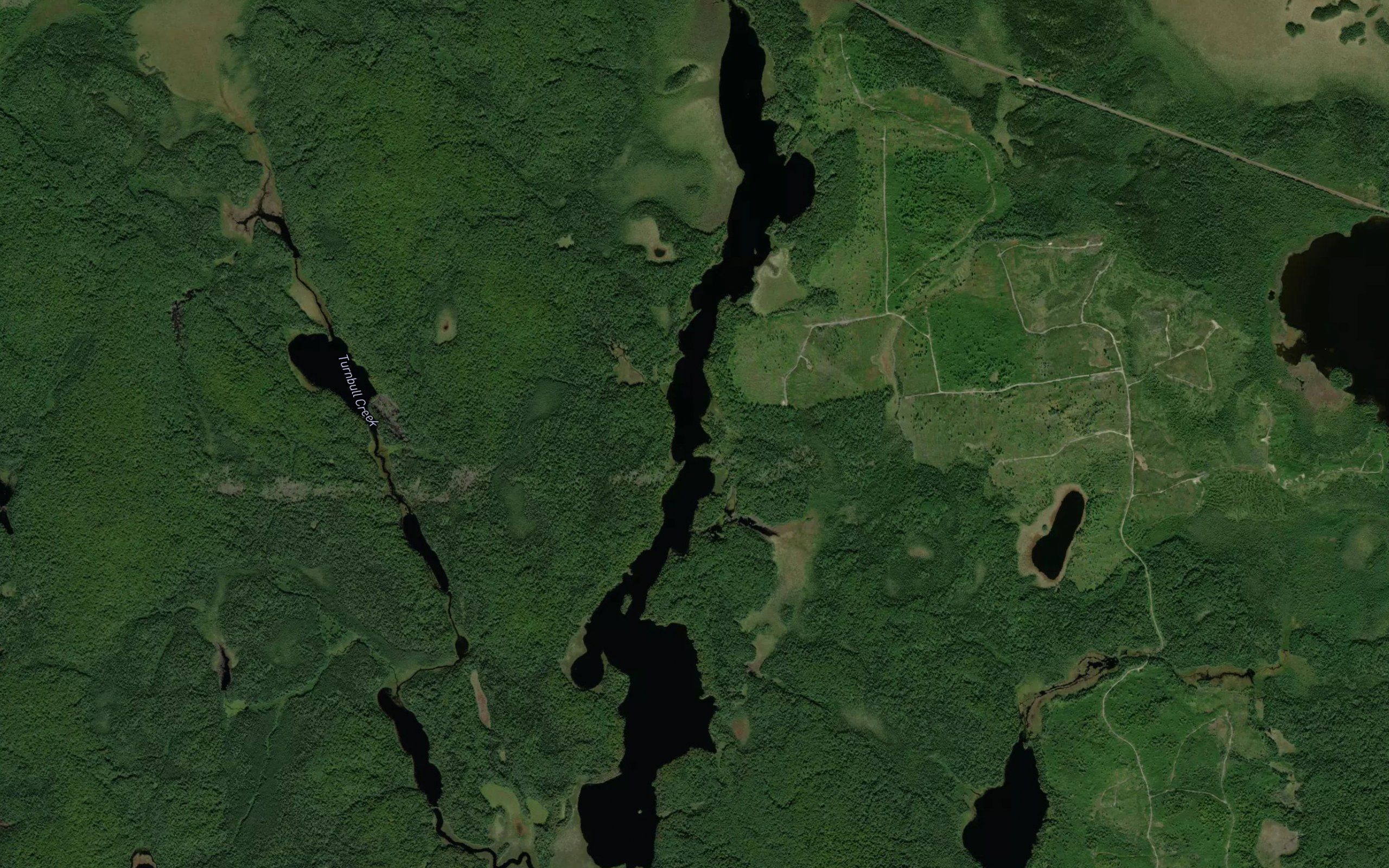 Lower Turnbull Lake