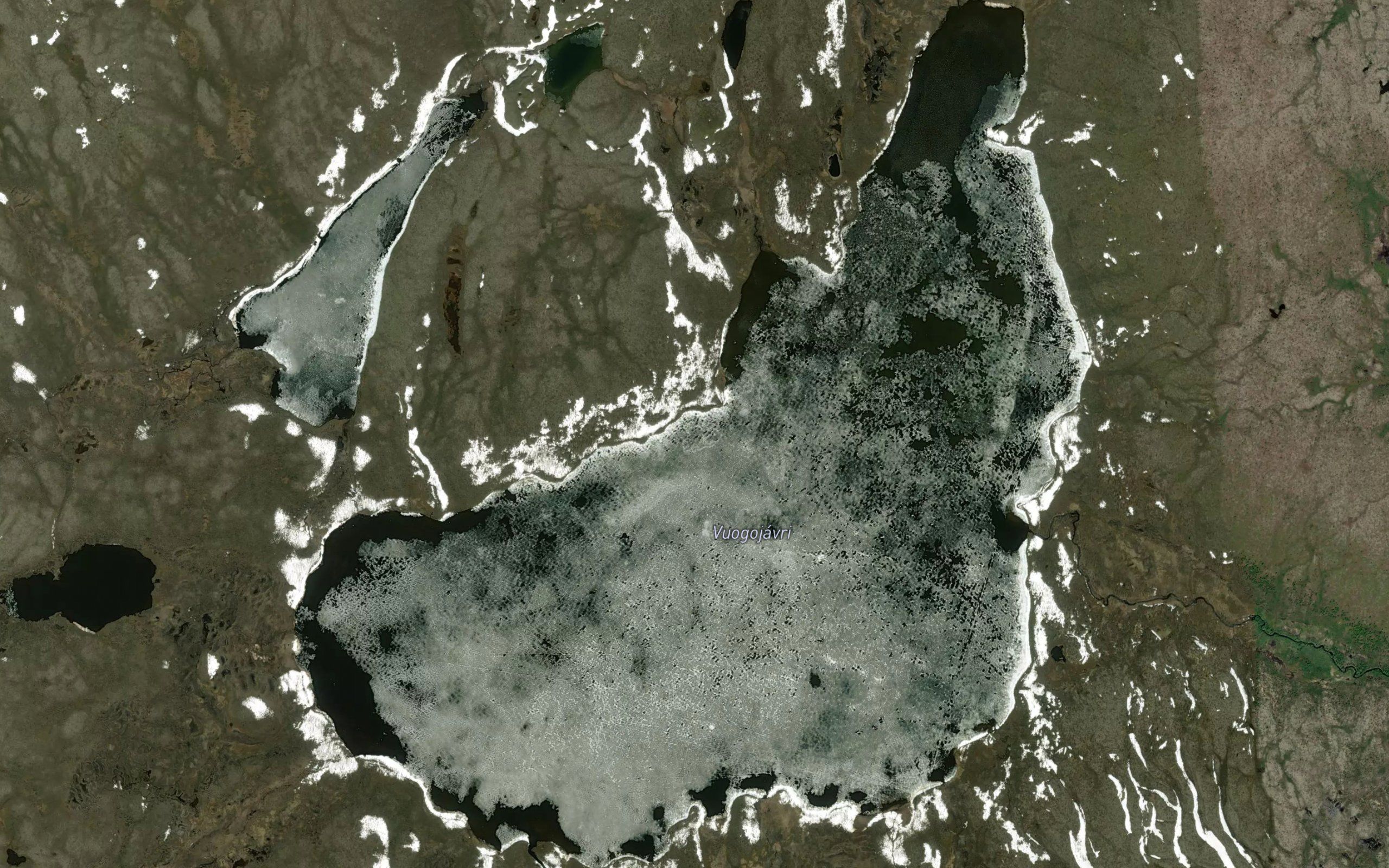 Vuogojavri