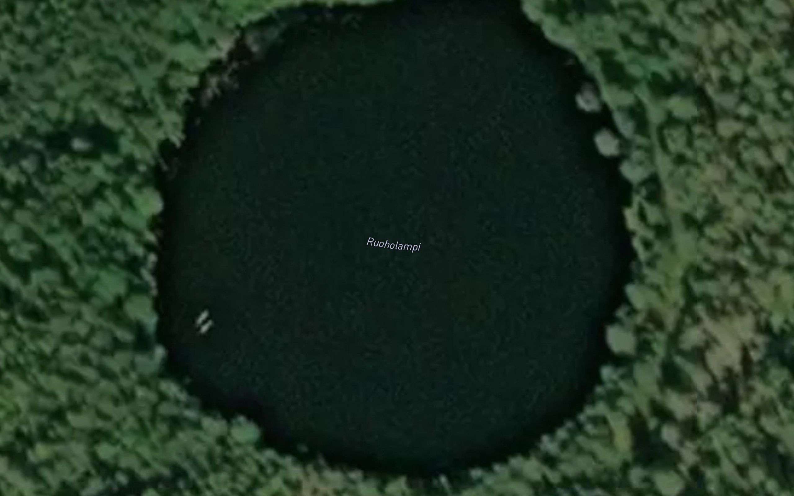 Ruoholampi