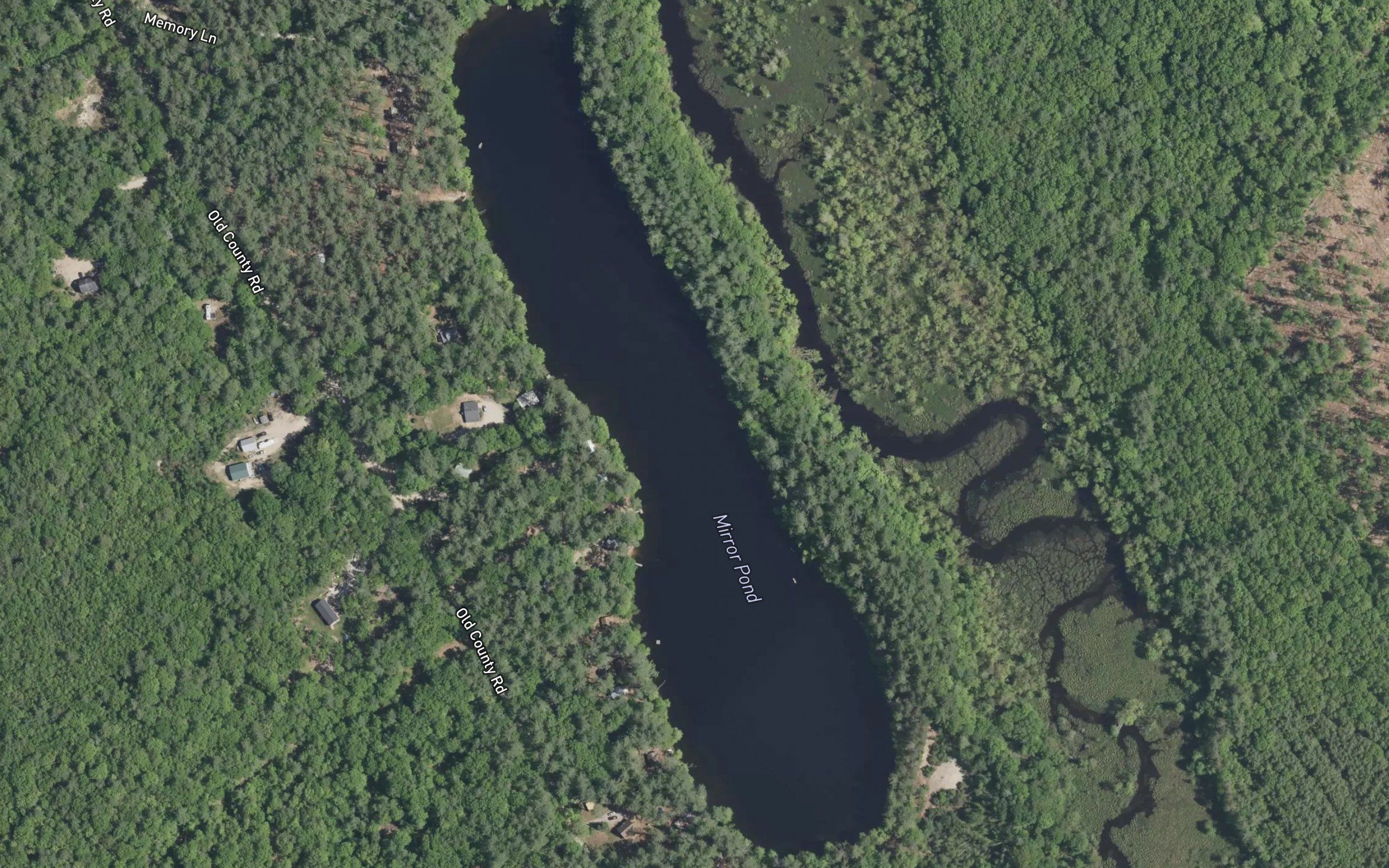 Mud Pond