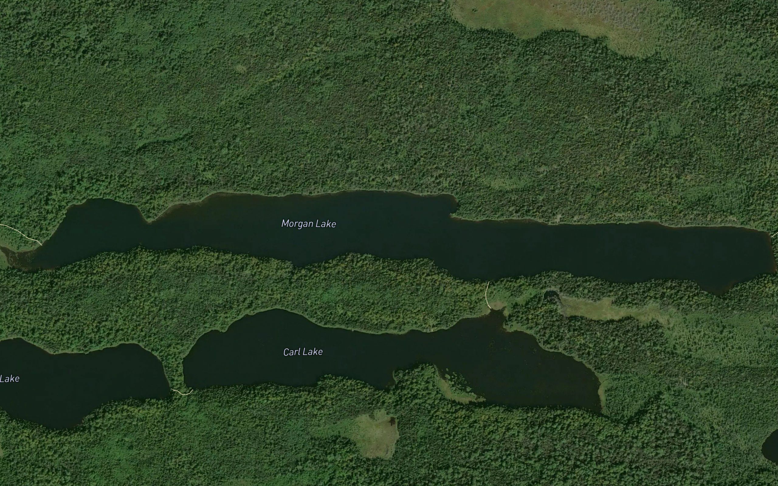 Morgan Lake