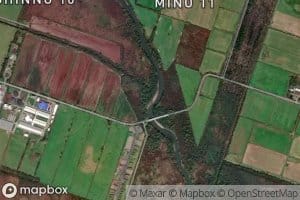 Daiicchigo Kansen Haisuiro