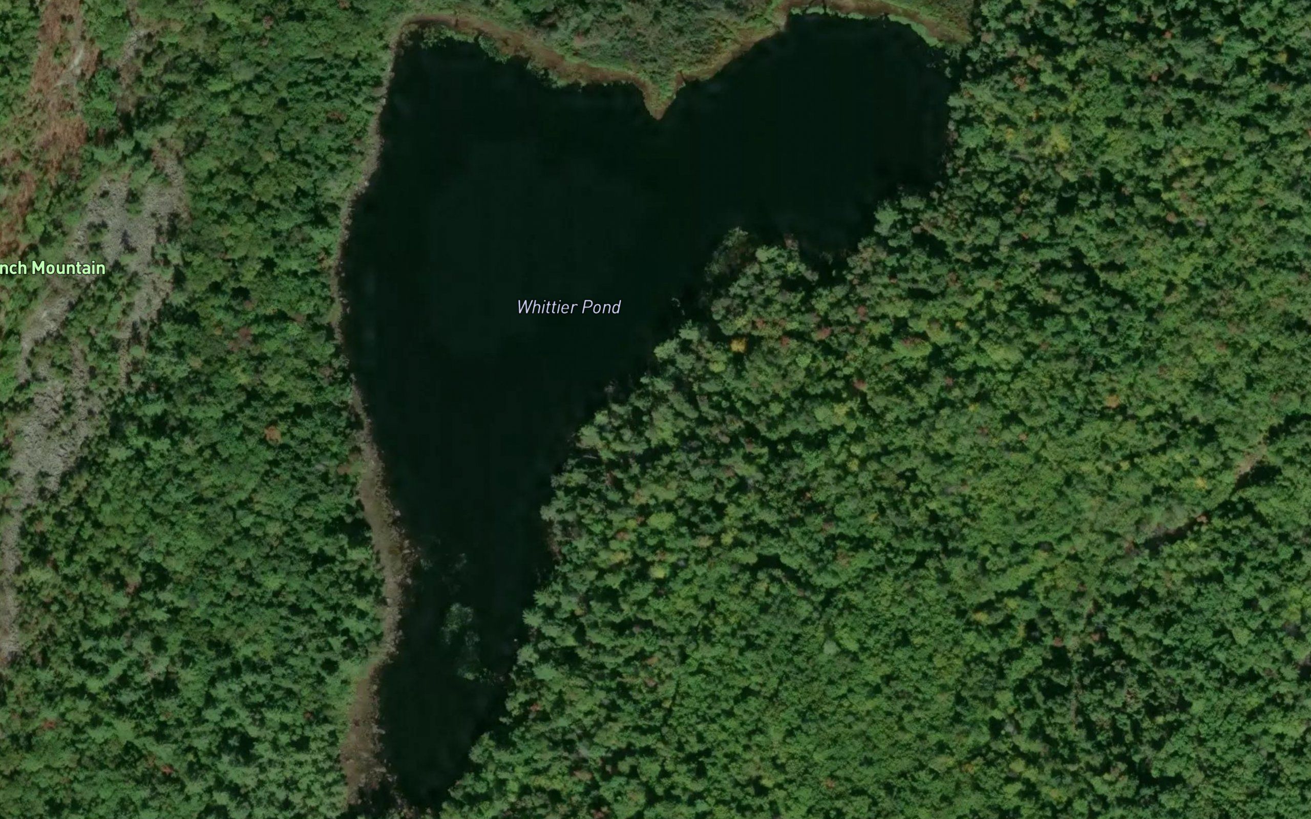Whittier Pond