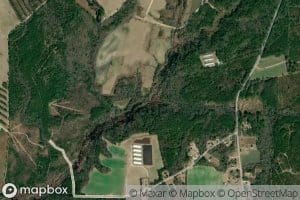 Free Will Creek
