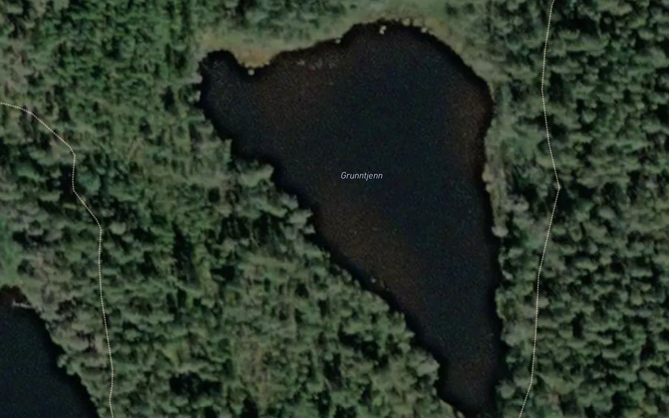 Grunntjern