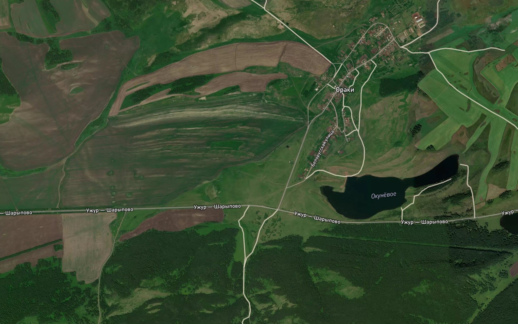 Satellite map of the Okunevyy