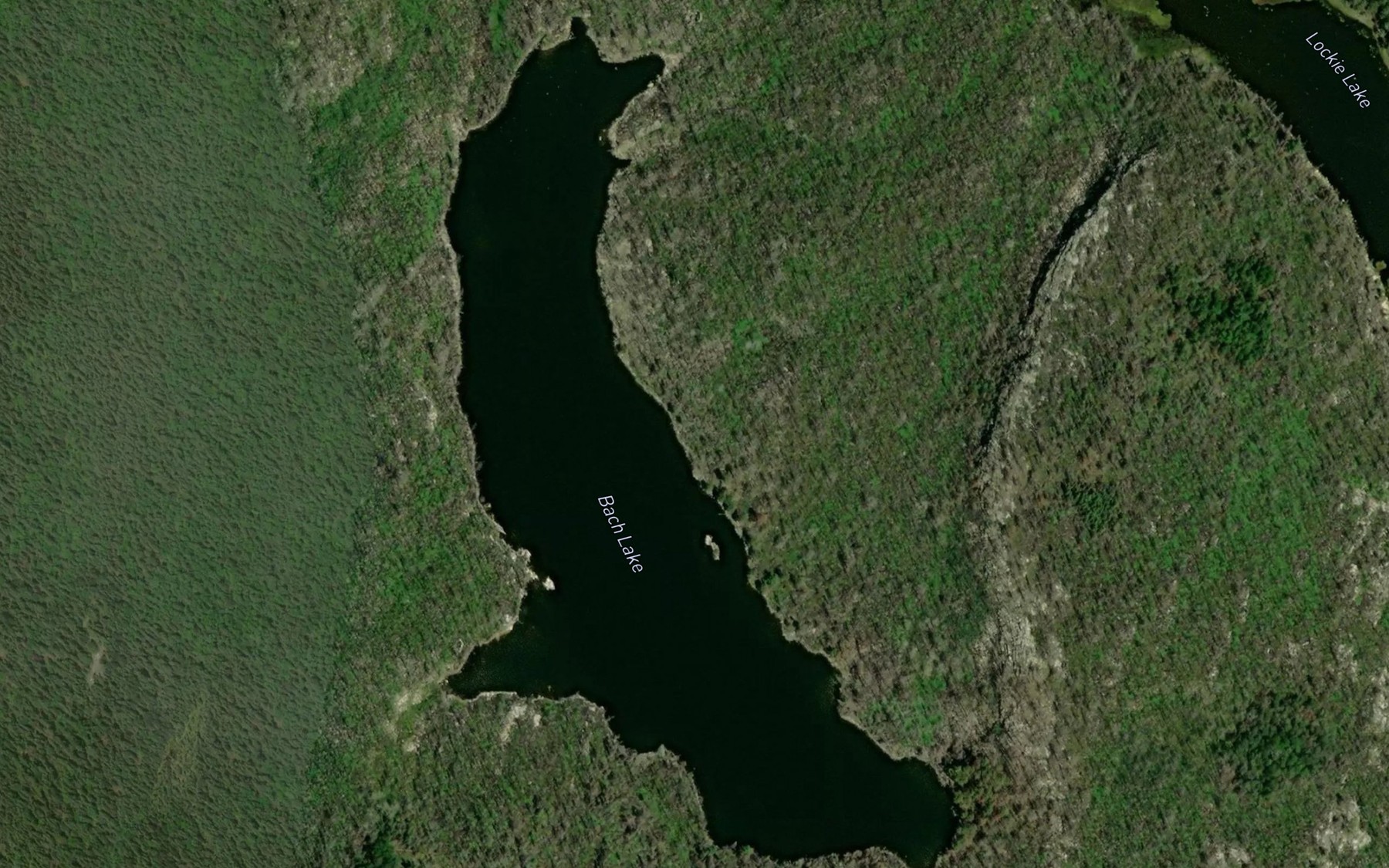 Satellite map of the Bach Lake