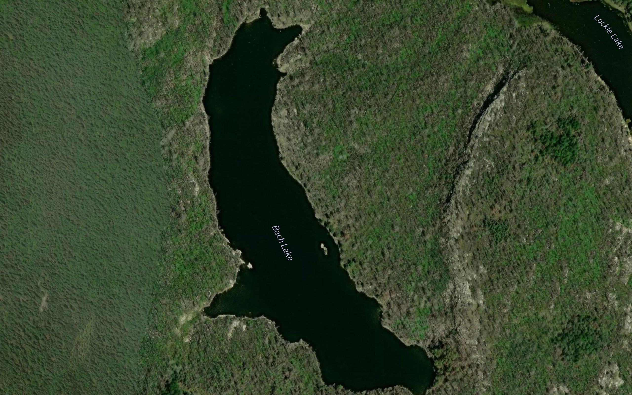 Bach Lake