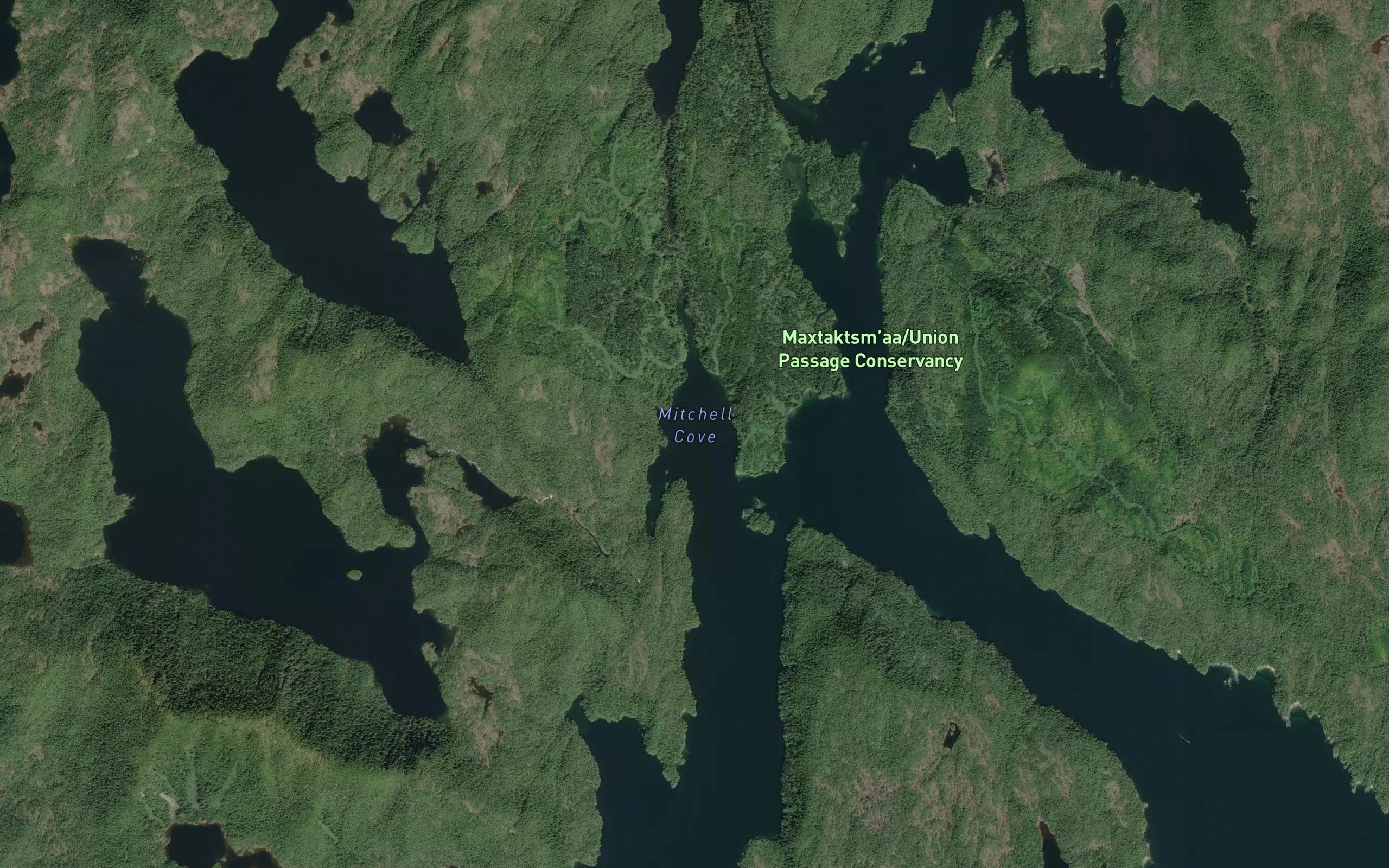 Mitchell Cove