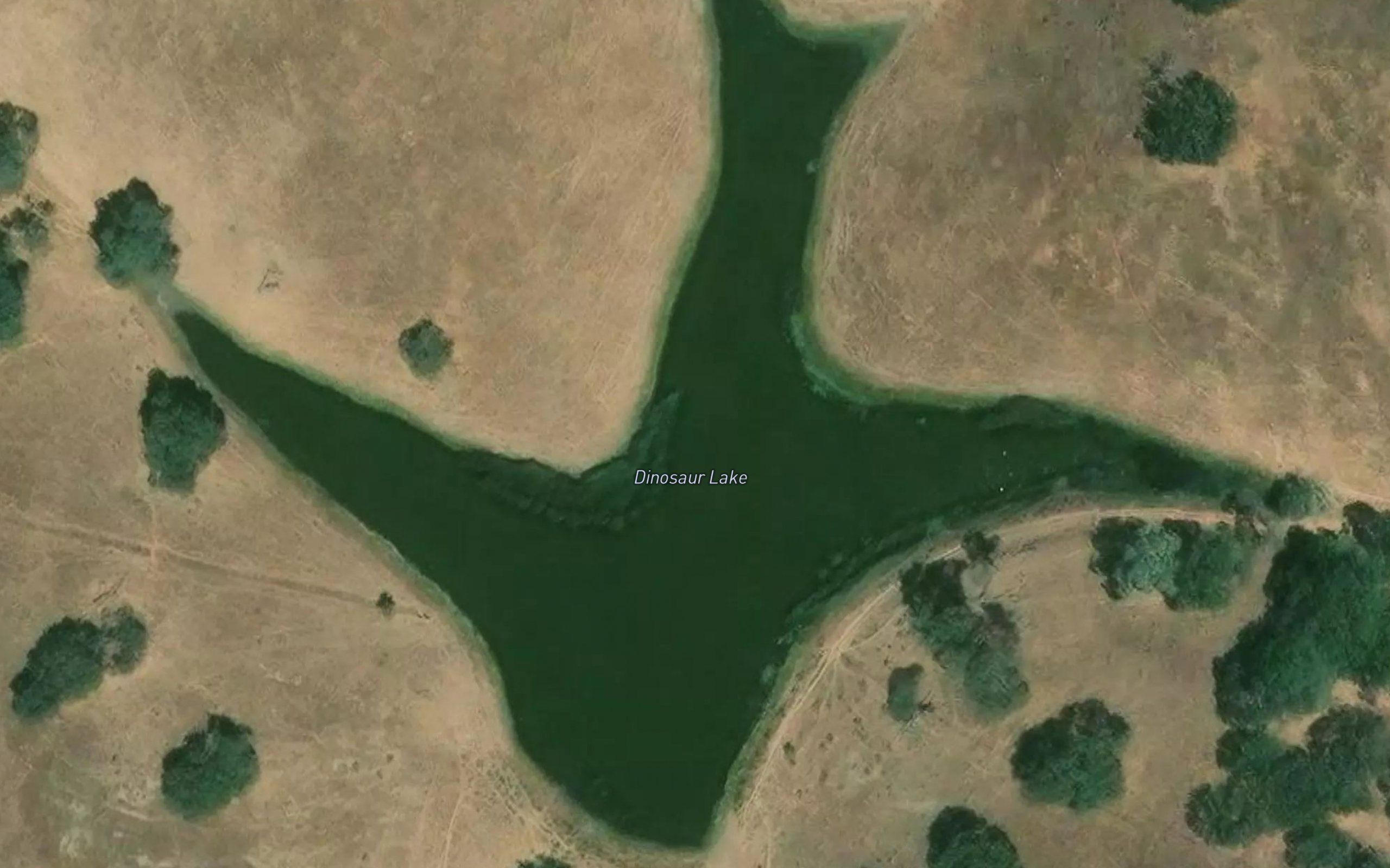 Dinosaur Lake