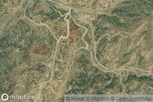 Pine Tree Wash