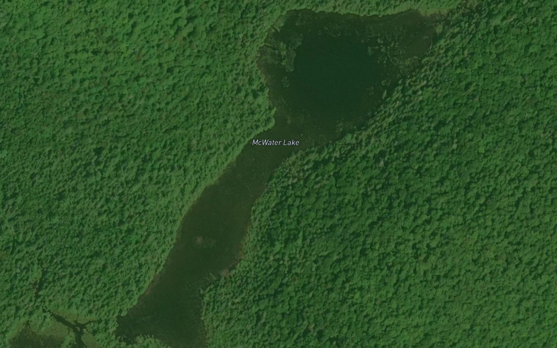 Satellite map of the McWater Lake