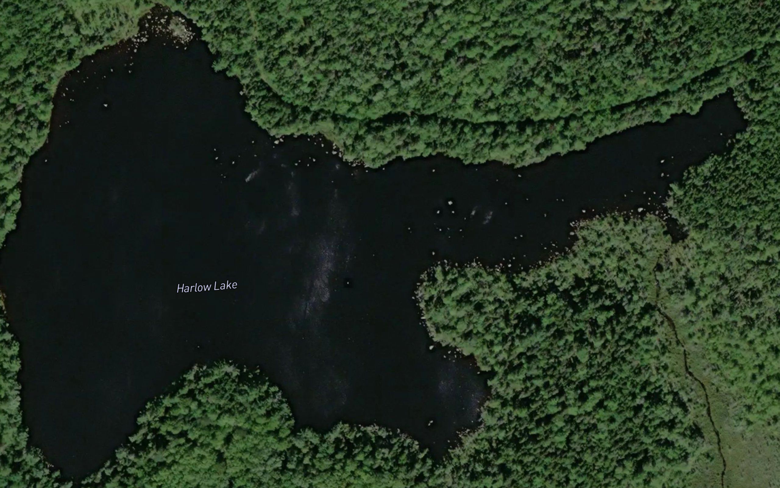 Harlow Lake