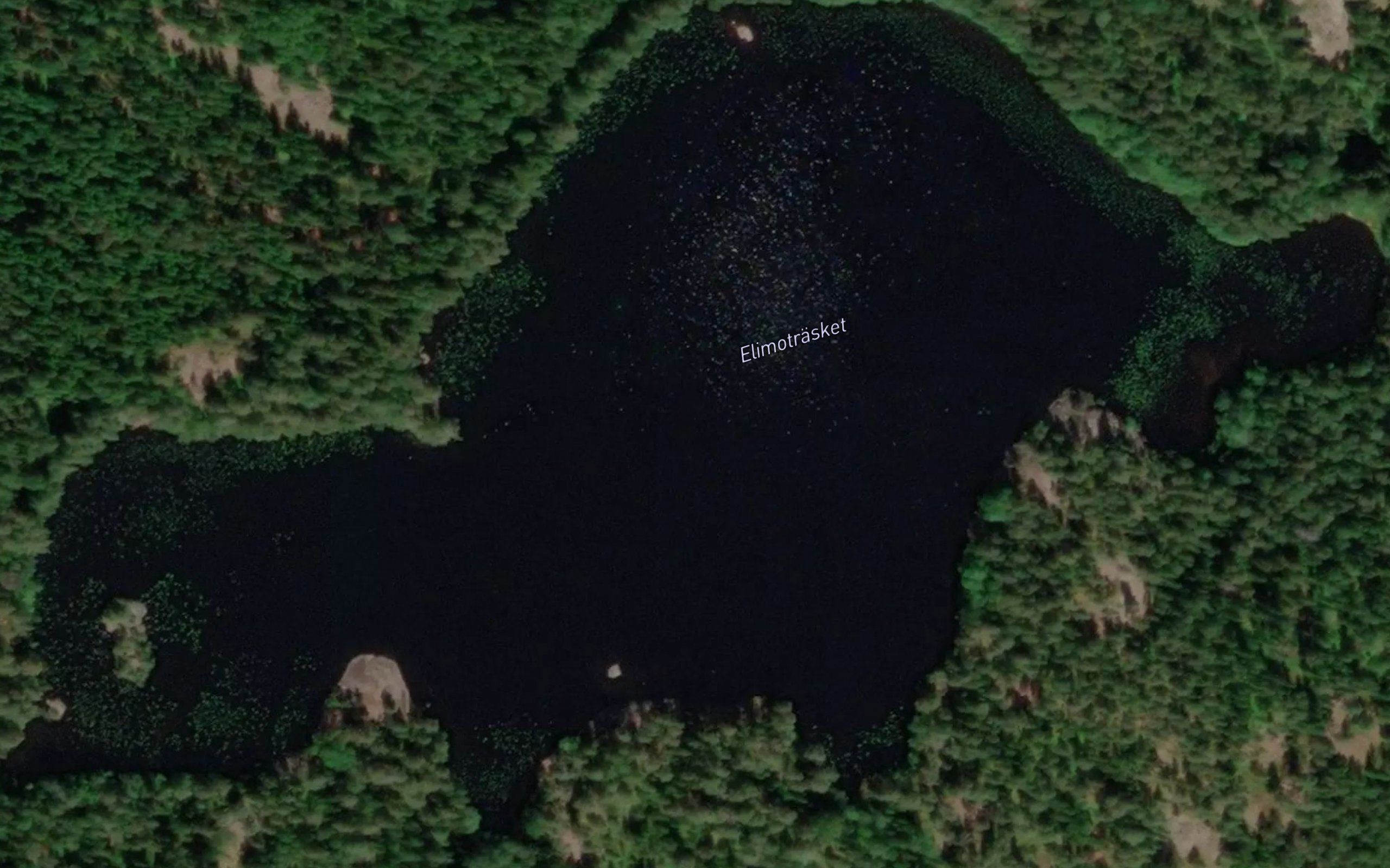 Elimotrasket