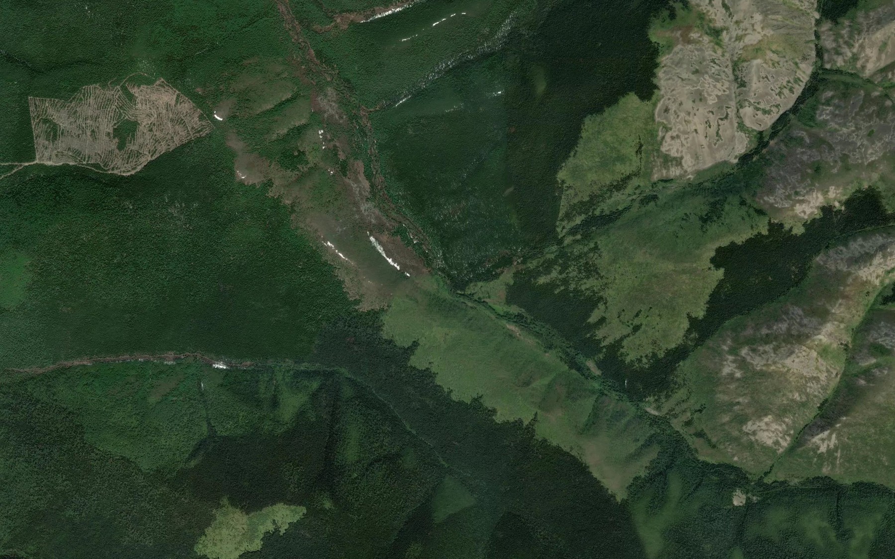Satellite map of the Gremuchiy