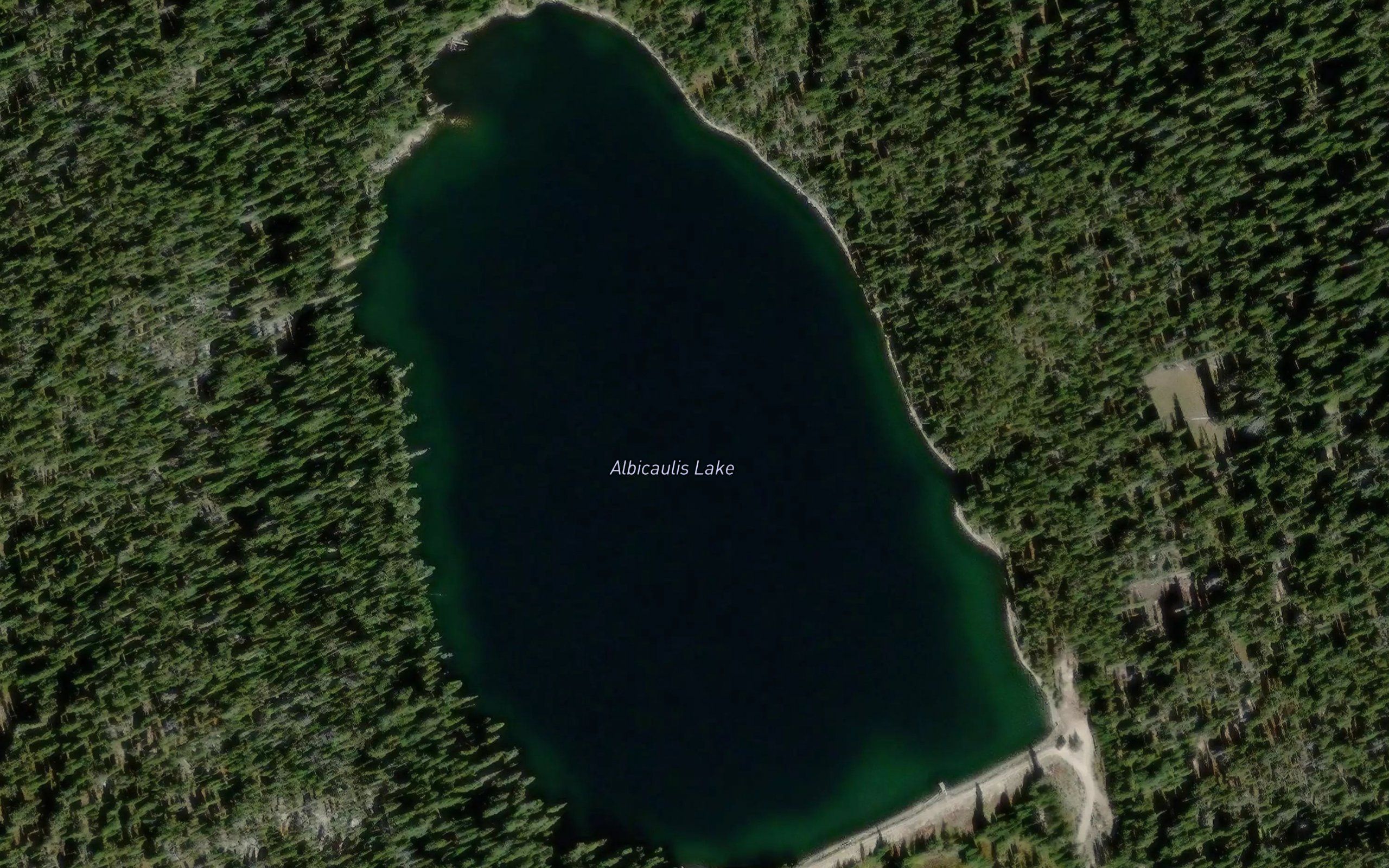 Albicaulis Lake