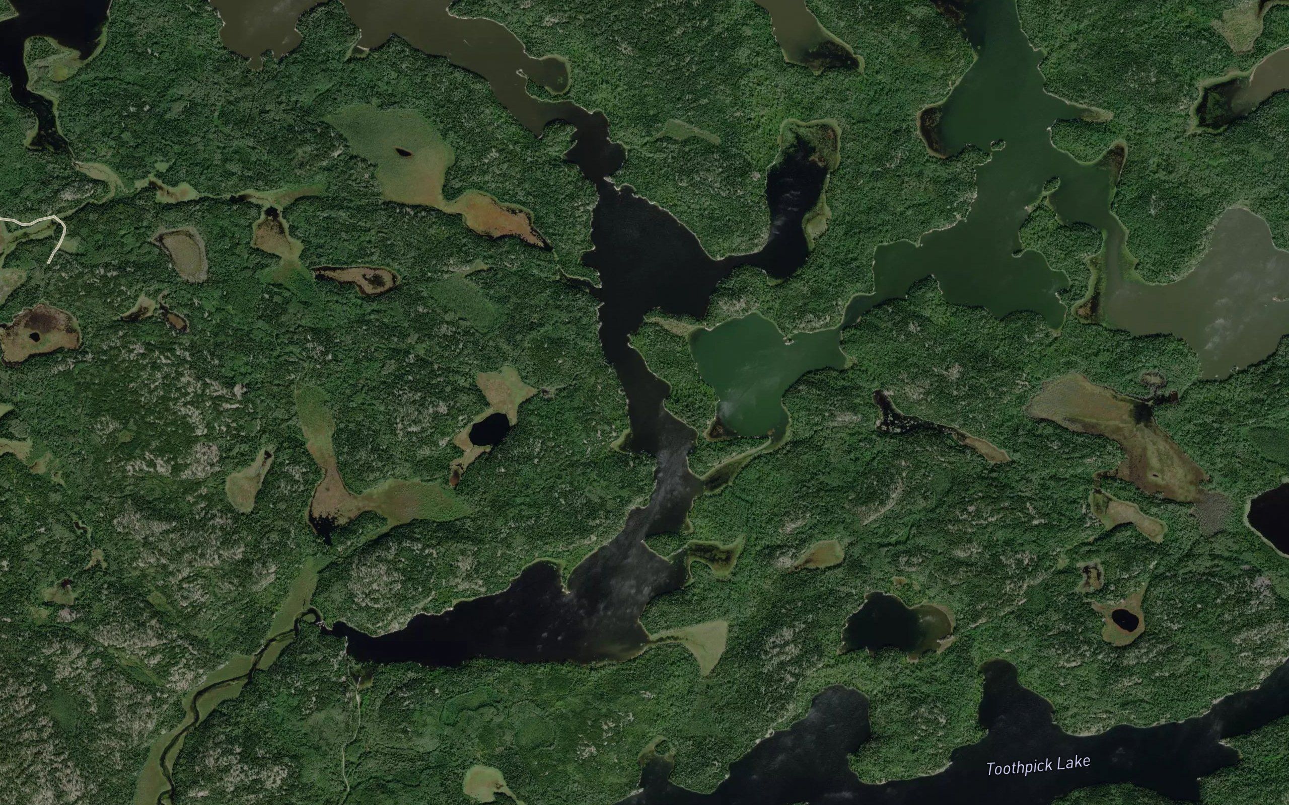 Shoe Lake