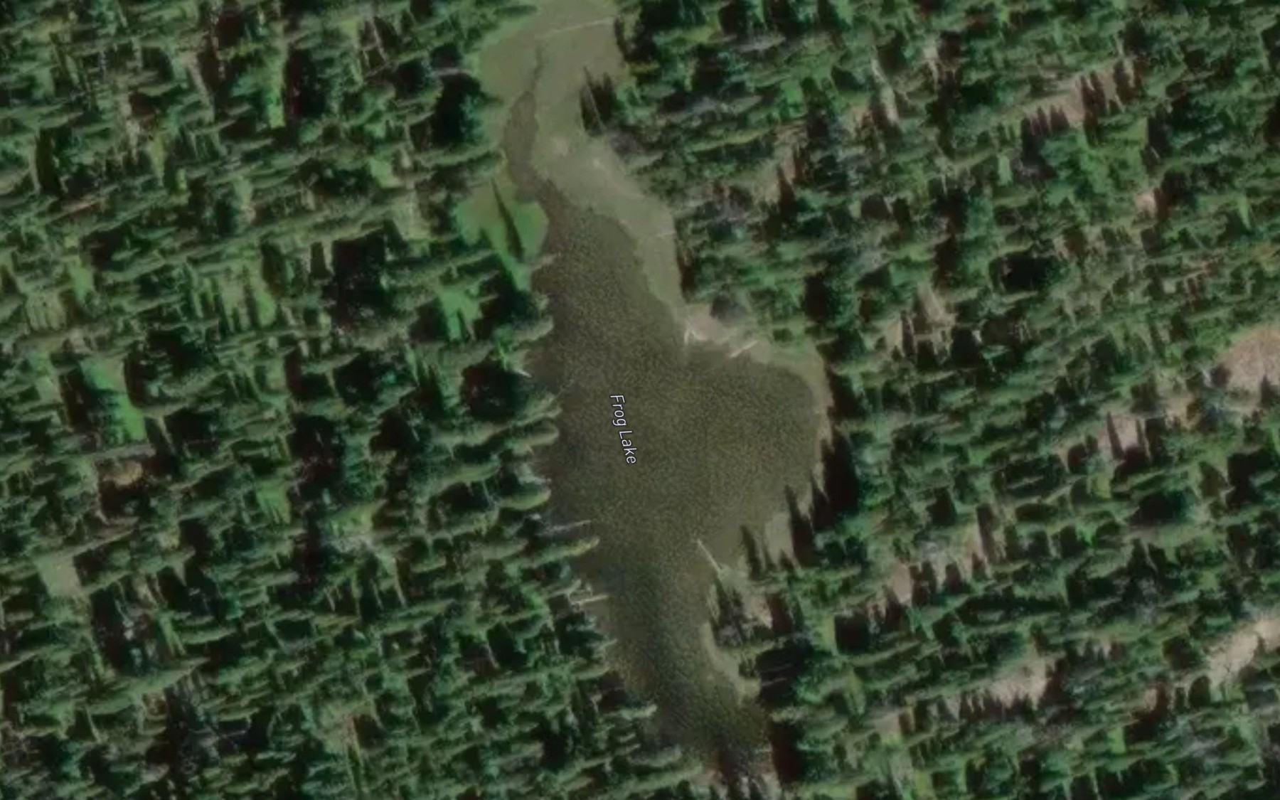 Satellite map of the Frog Lake