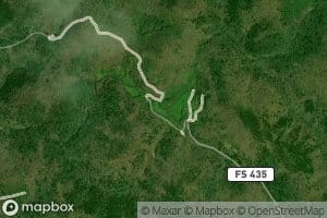 Sally Spillers Branch