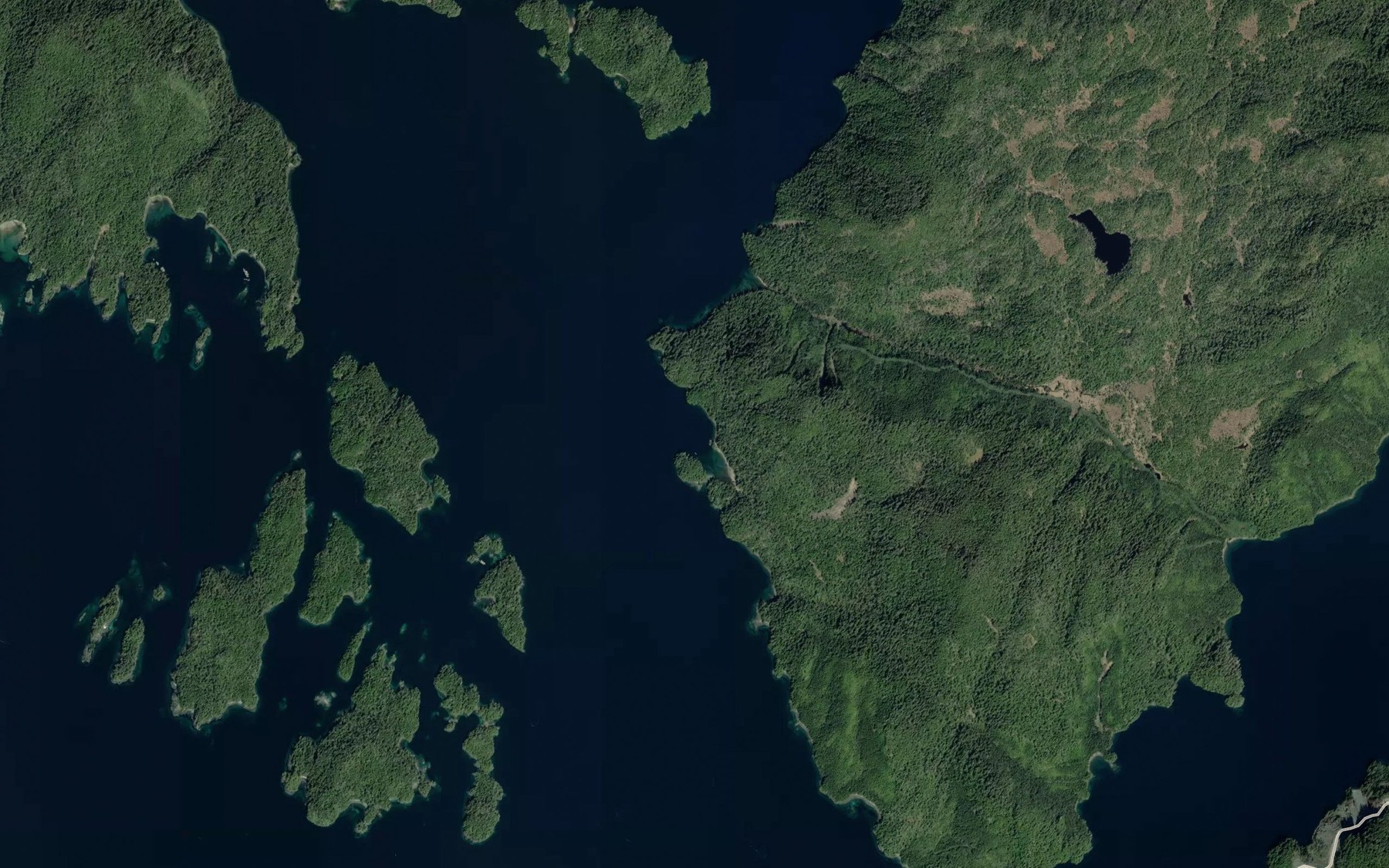 Satellite map of the Dog Cove