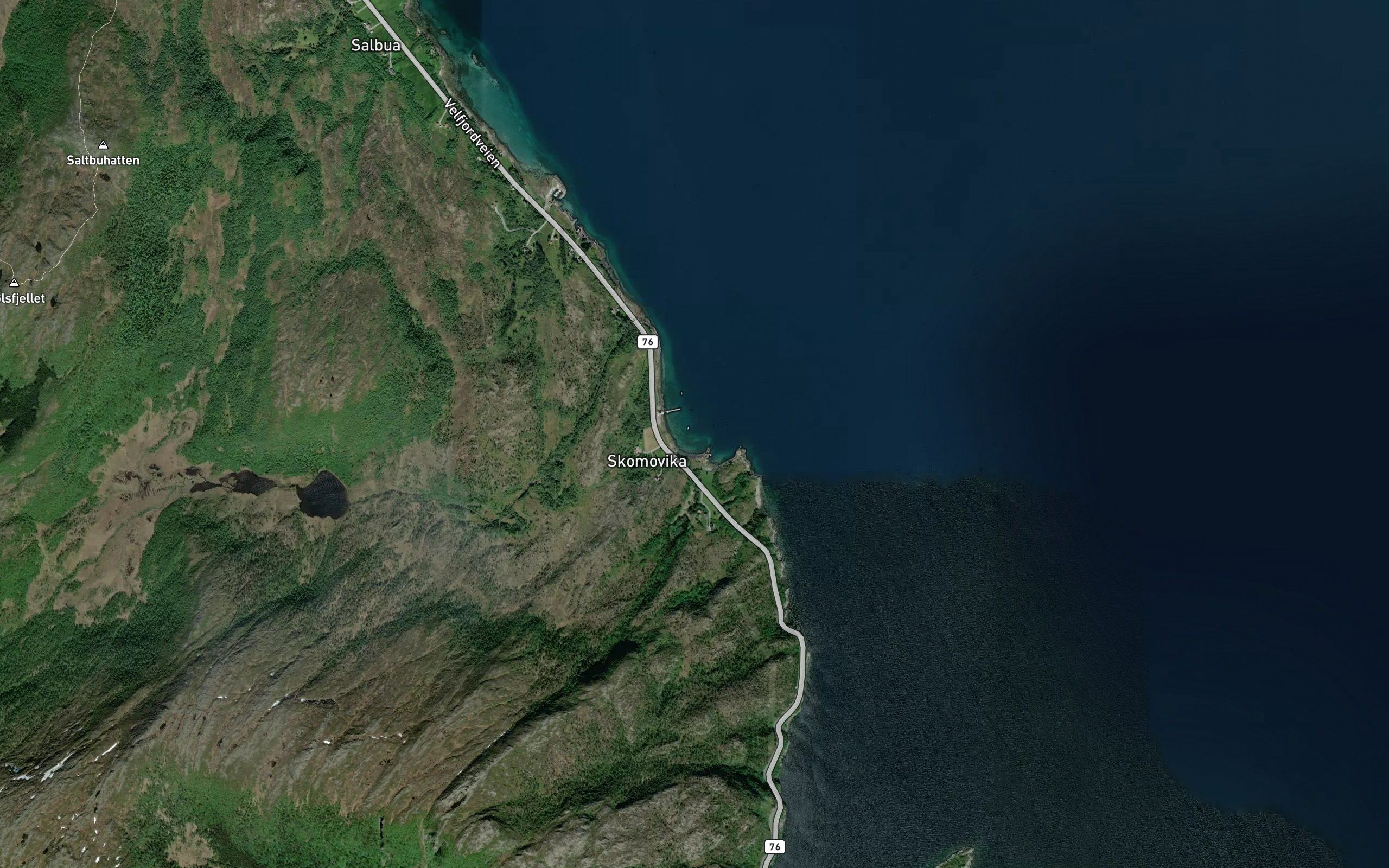 Skomovika