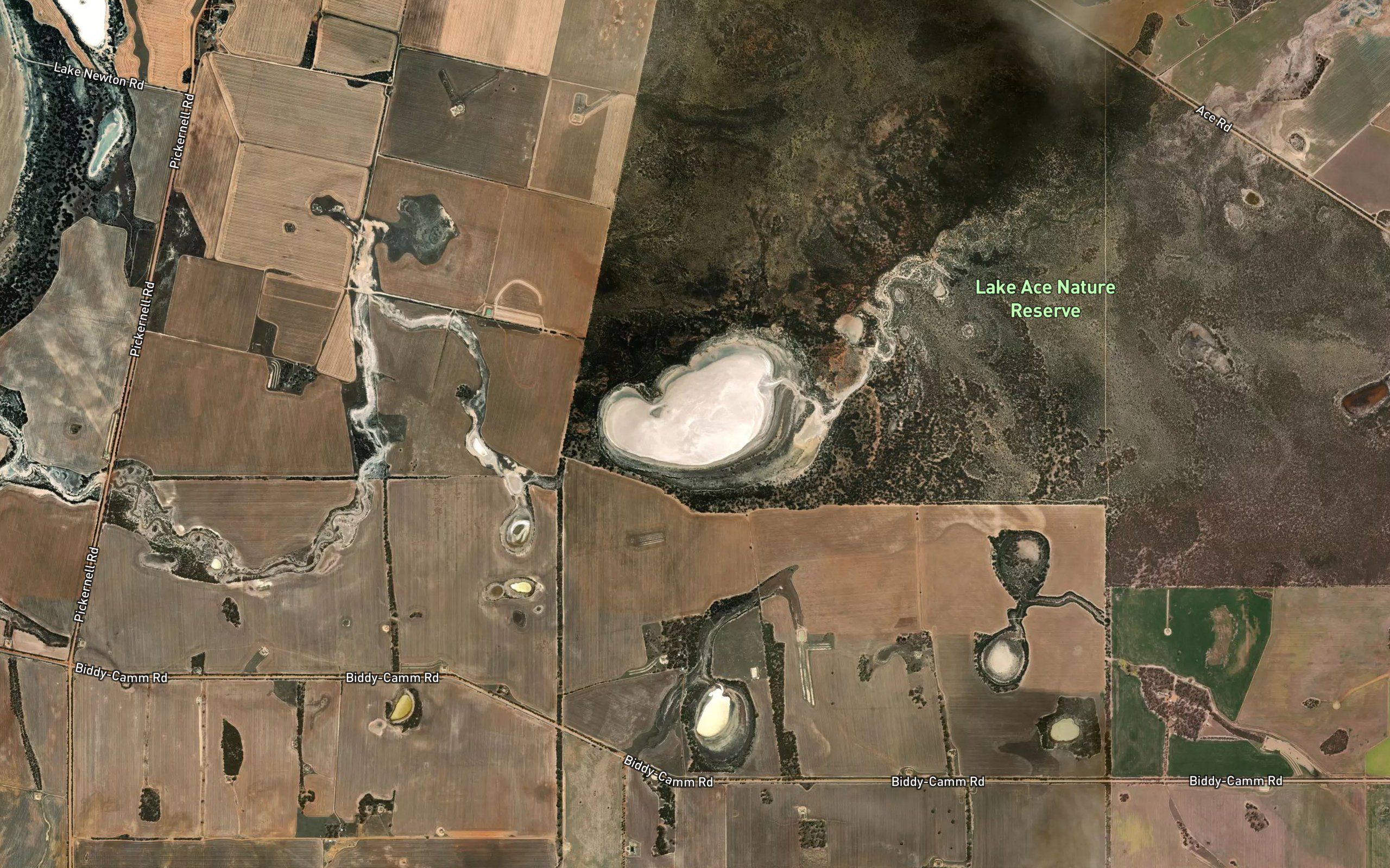 Lake Ace