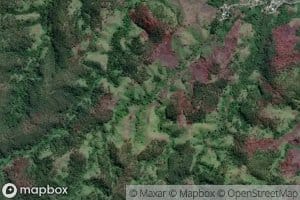 Rogorua Creek