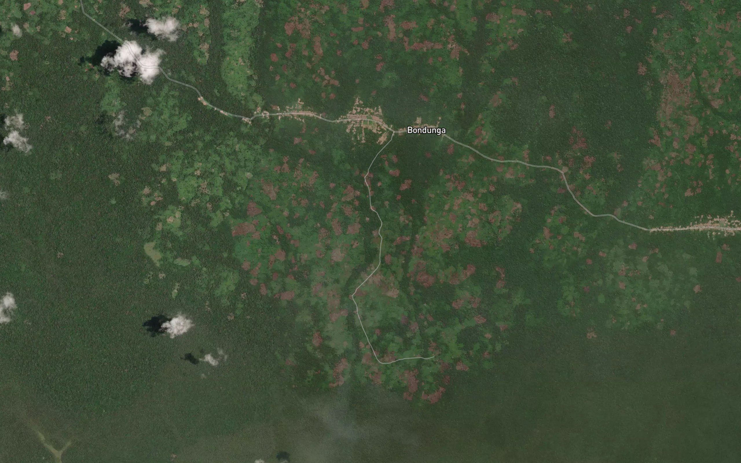Ilongo