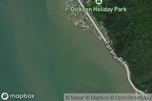 Pukehinau (Shellback) Stream