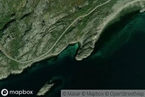 Tennesvika