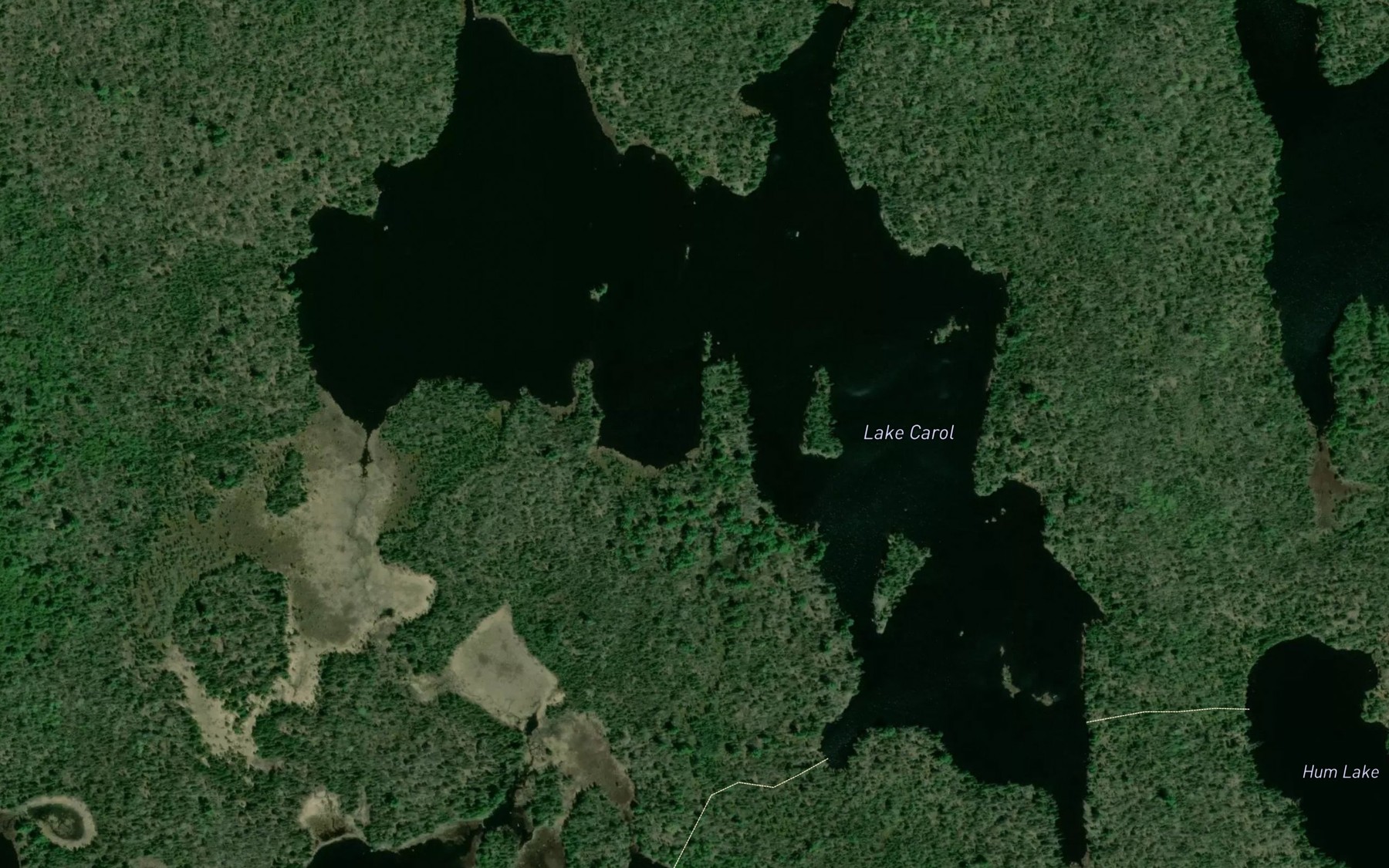 Satellite map of the Lake Carol
