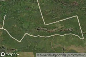 Douglas Meadow Brook