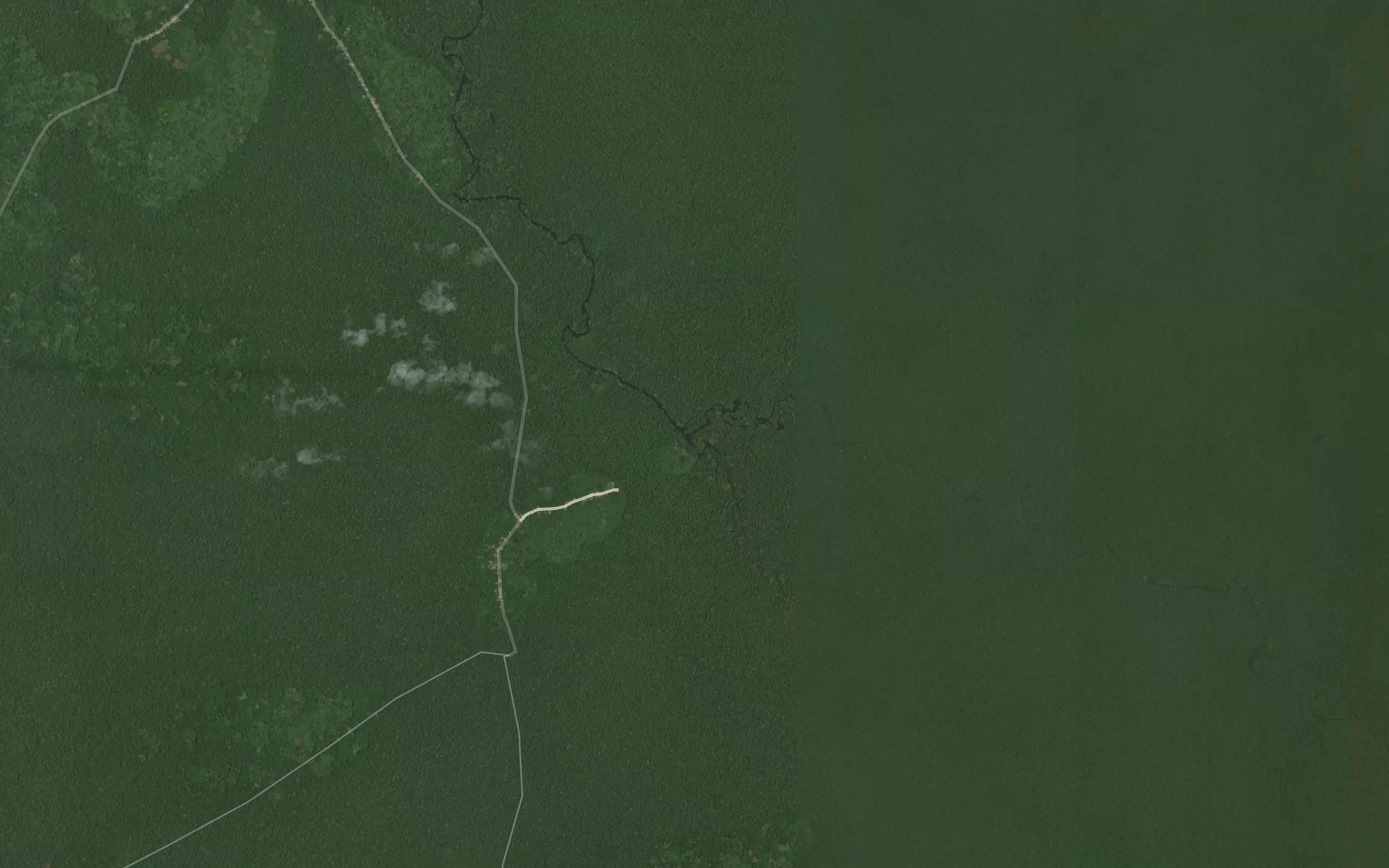 Bokundjungu