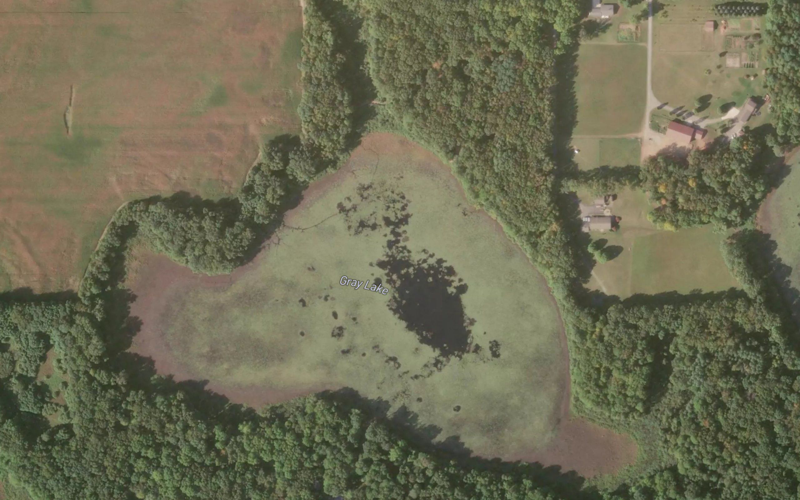Gray Lake