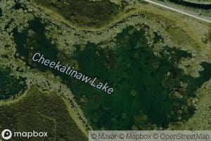Cheekatinaw Lake