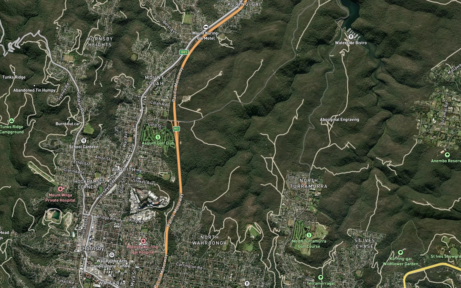 Satellite map of the Spring Gully