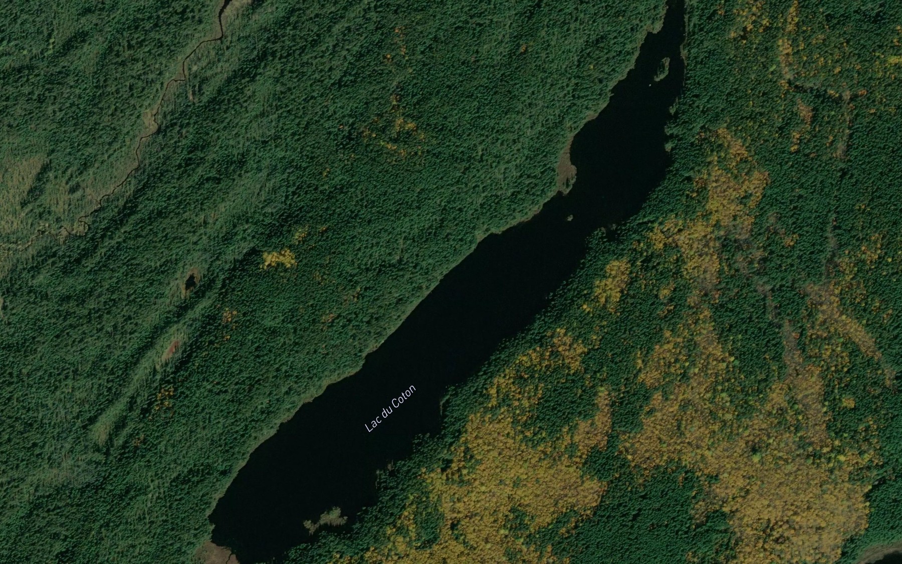 Satellite map of the Lac du Coton