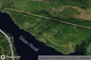 Silver Pond