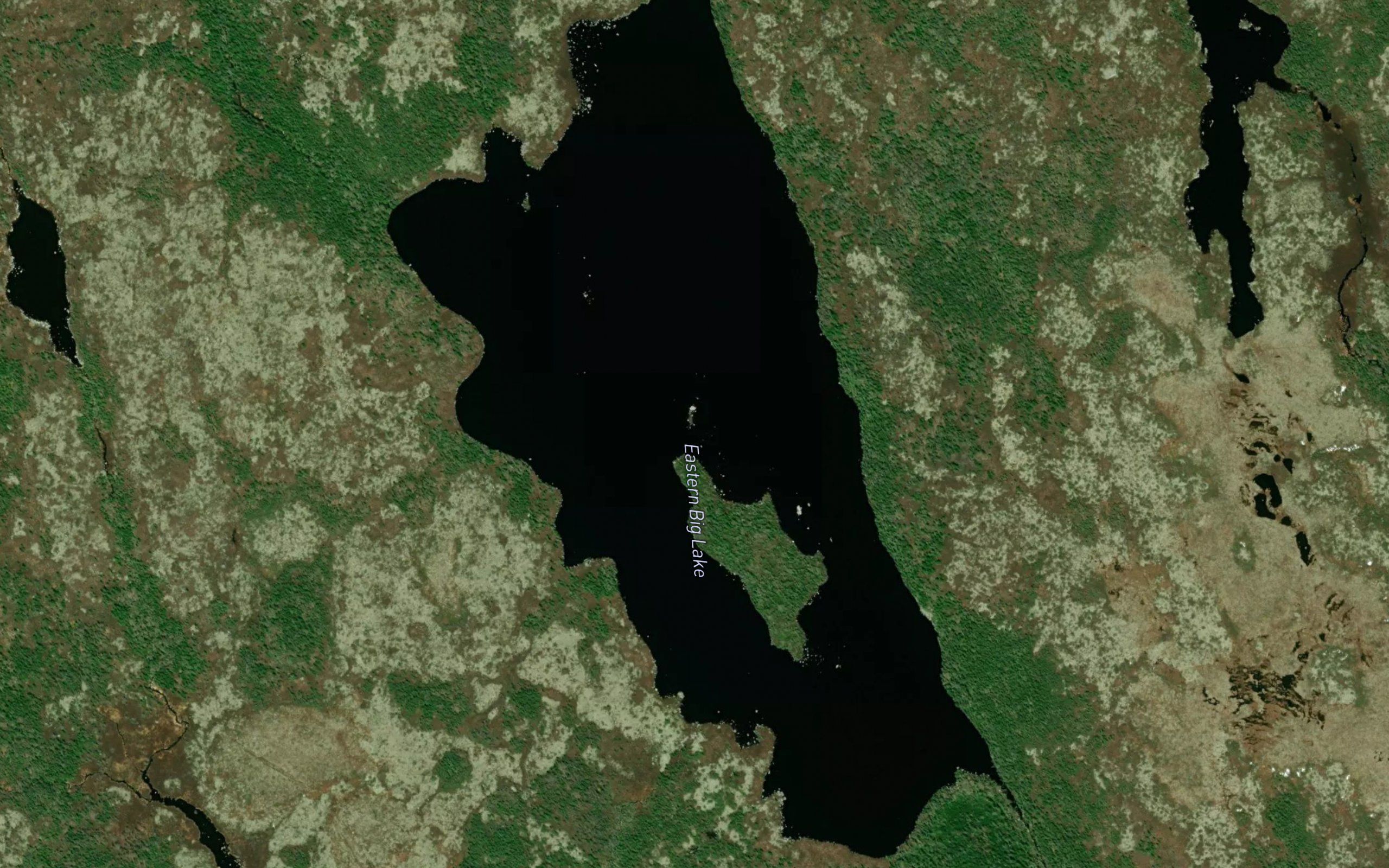 Eastern Big Lake