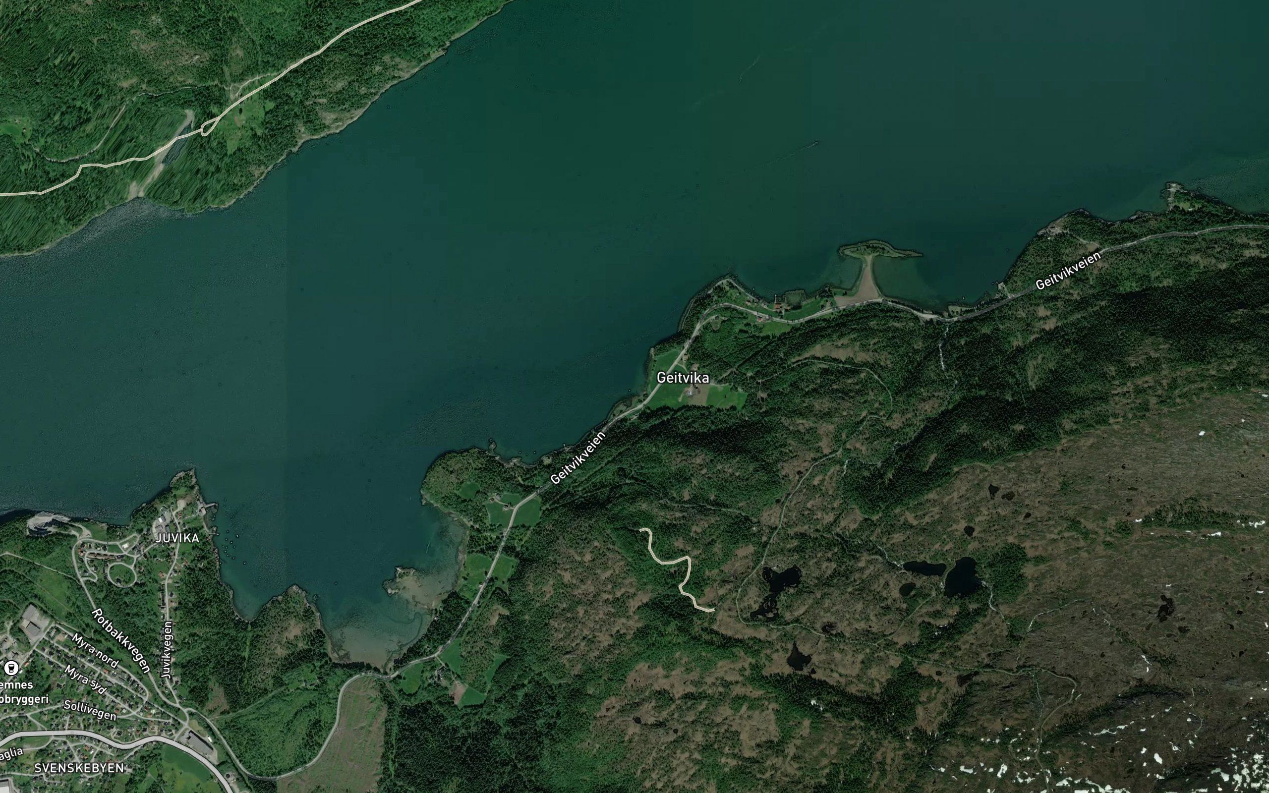 Geitvika