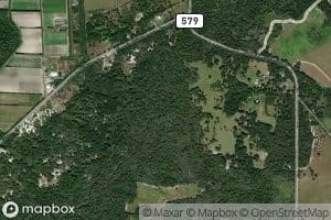 South Fork Little Manatee River