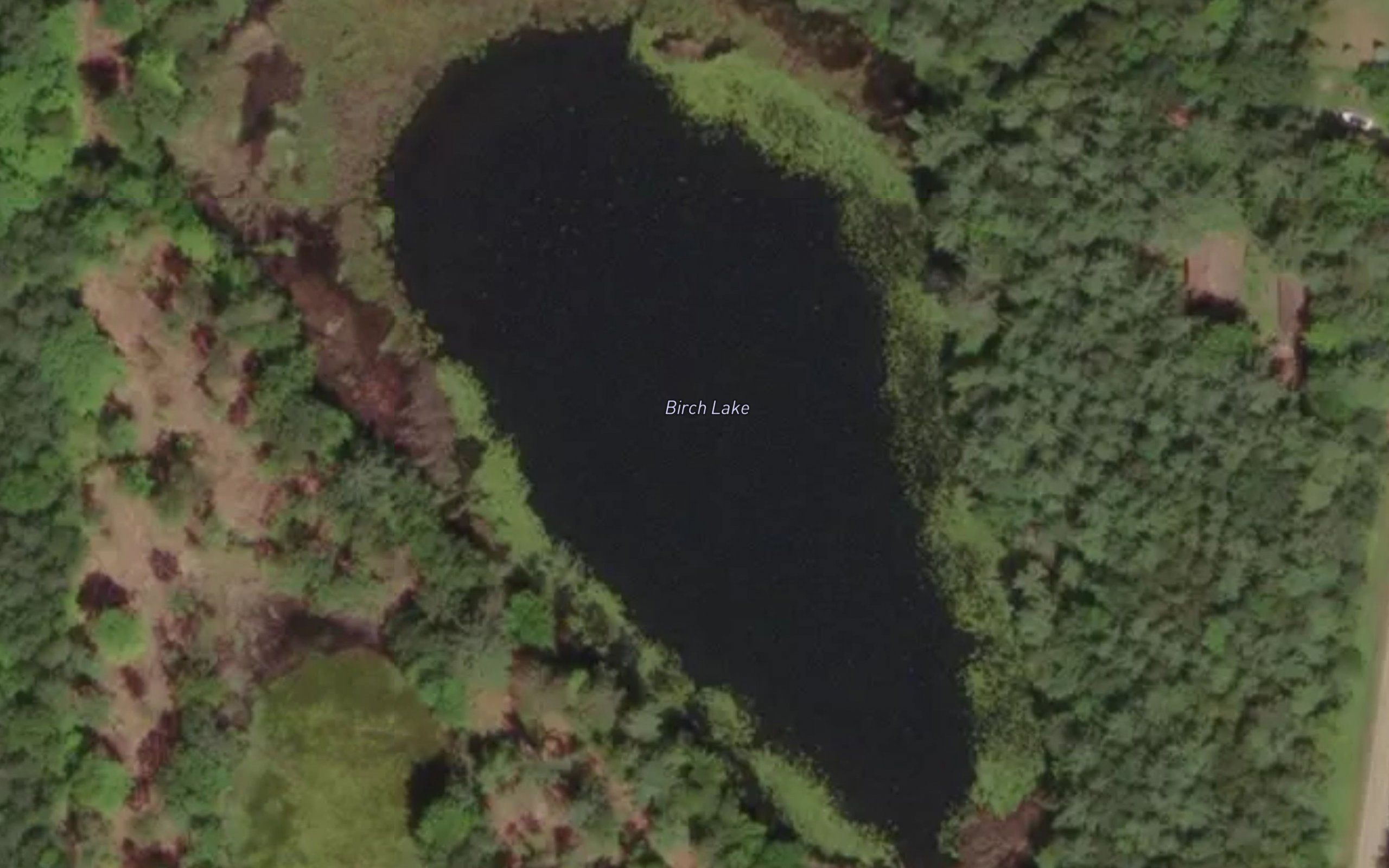Birch Lake