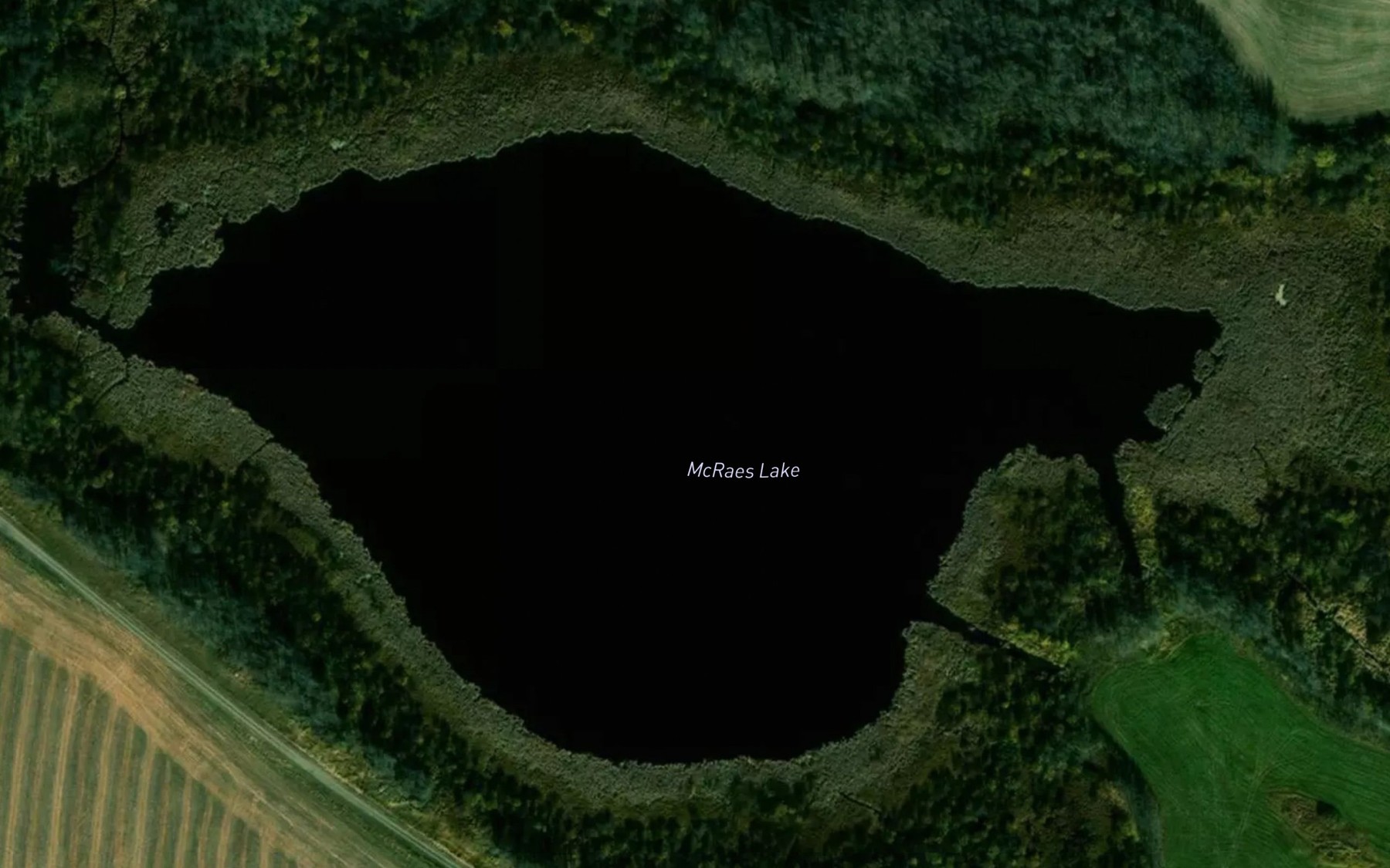 Satellite map of the McRaes Lake