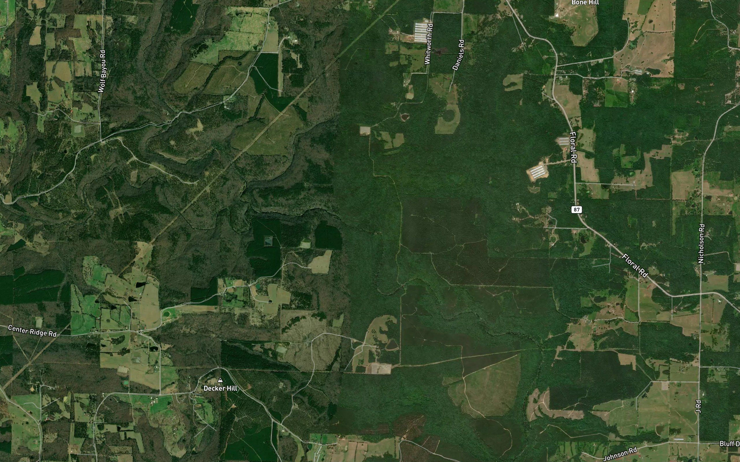 Kingston Branch