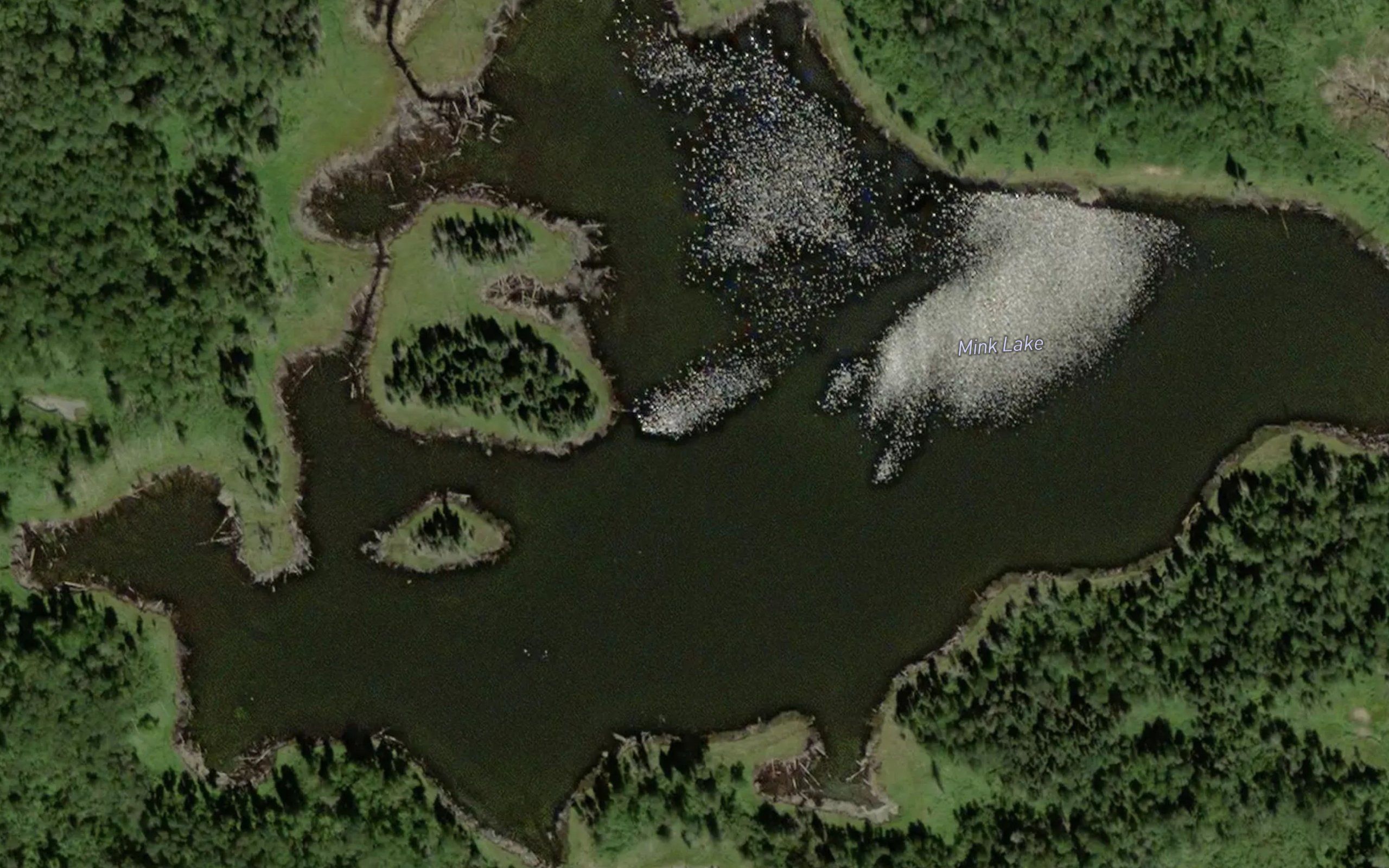 Mink Lake