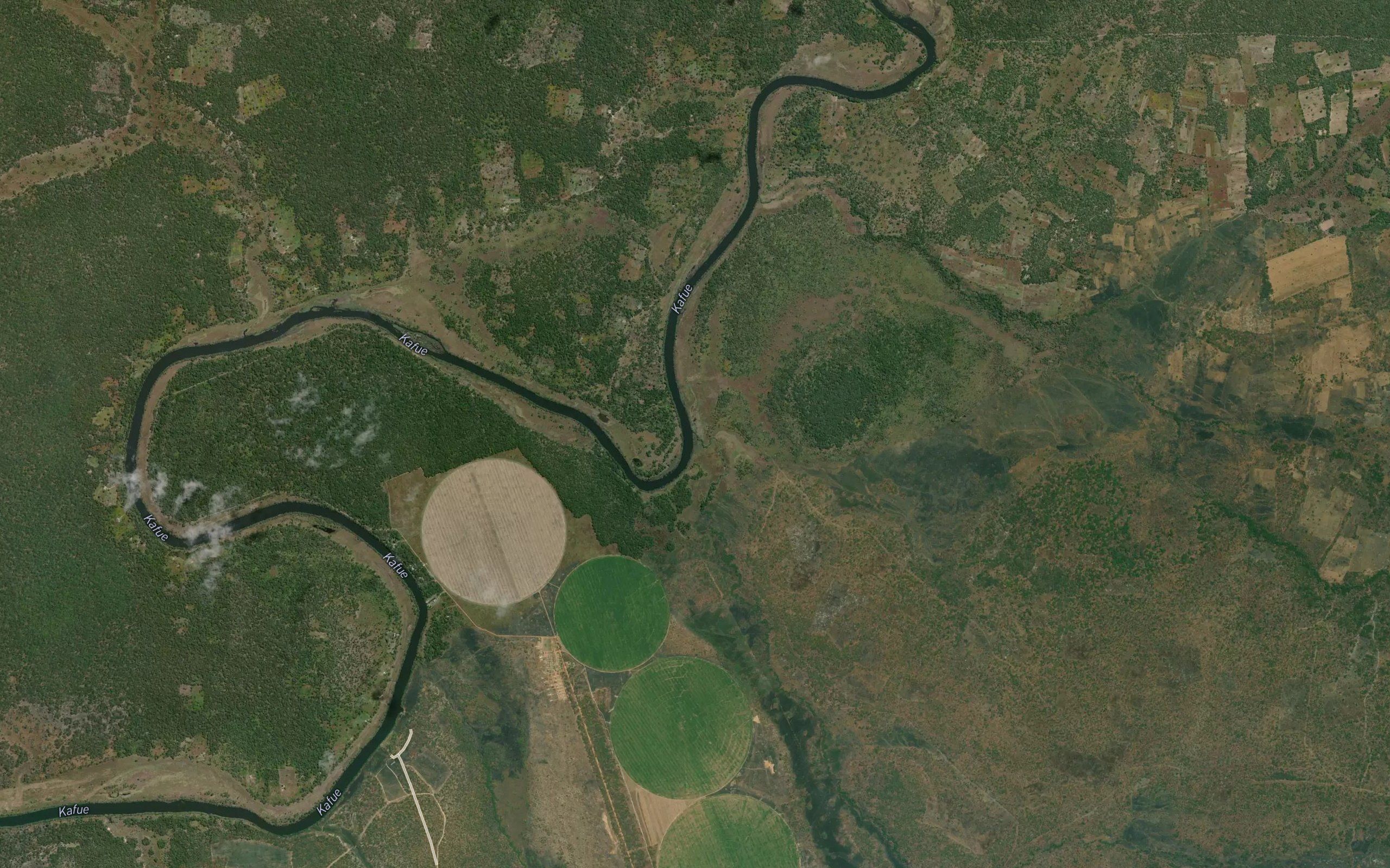 Lupala