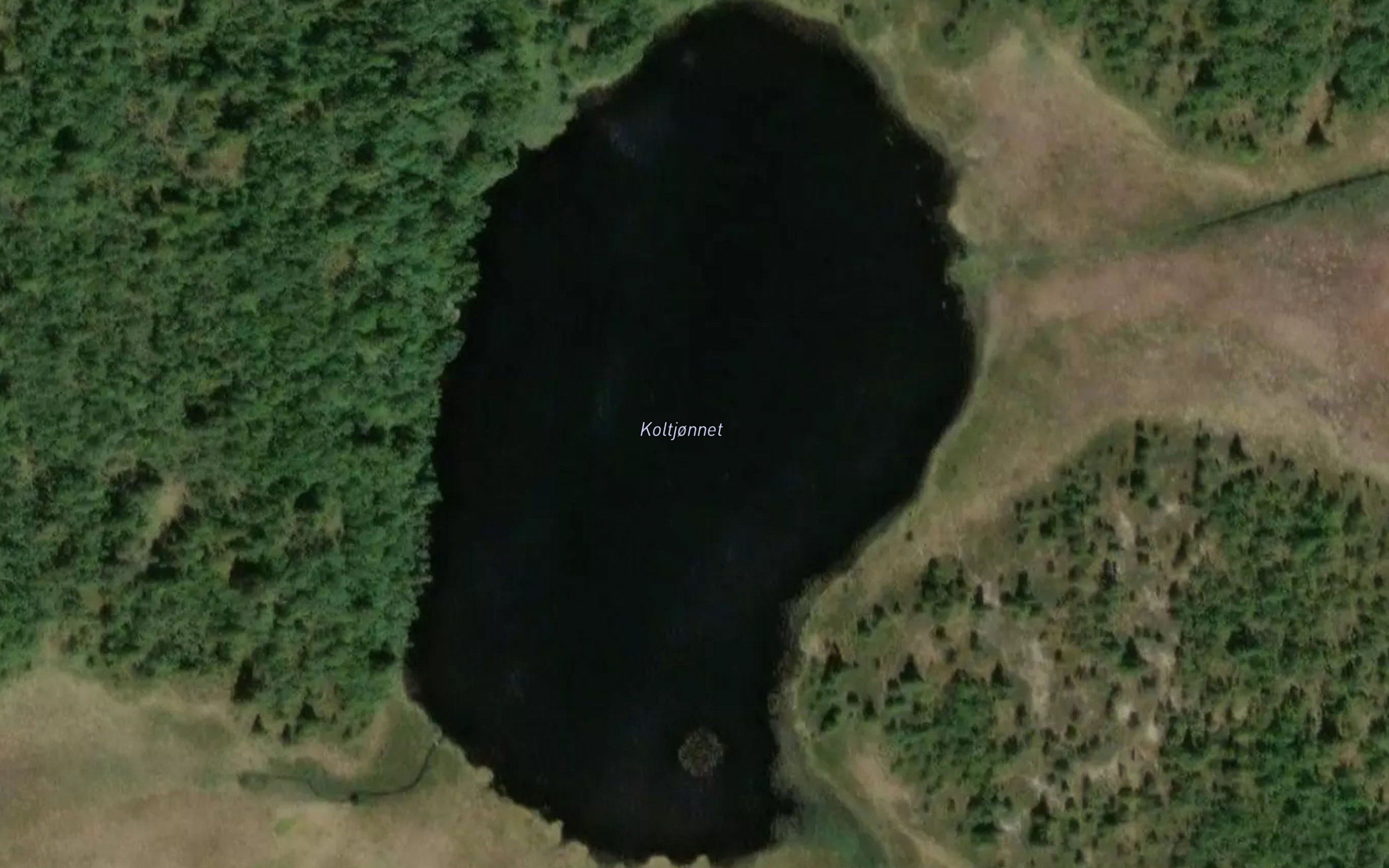 Koltjornet