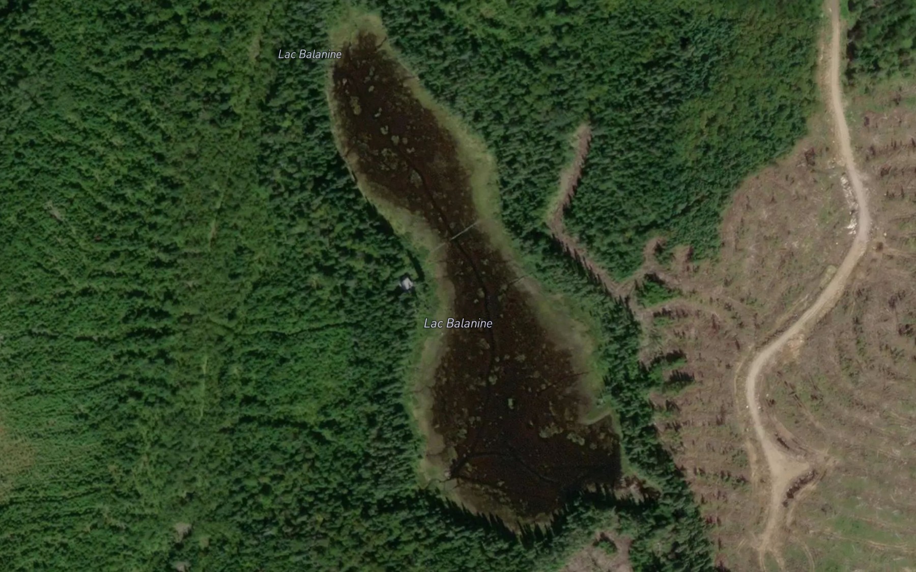 Satellite map of the Lac Balanine